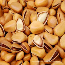 Factory Wholesale Chinese Suppliers Roasted Pine Nuts,Pine Kernels